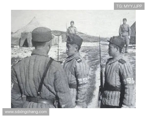 毛伟杰：期待朝鲜强势表现，争取好结果